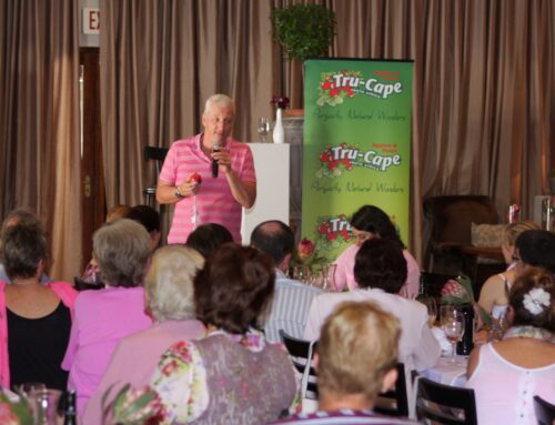 Crafts for Cancer Workshop with Pink Lady® apples and Tru-Cape – 25 October 2014