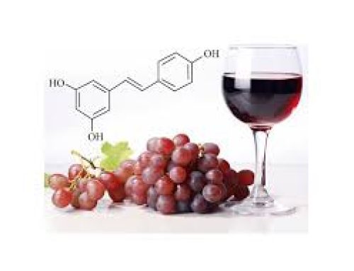 Resveratrol in red wine – Winemag