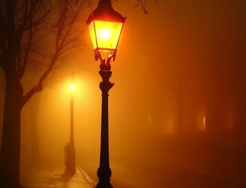 WHO alarmism, alcohol science and the lamppost problem – Winemag