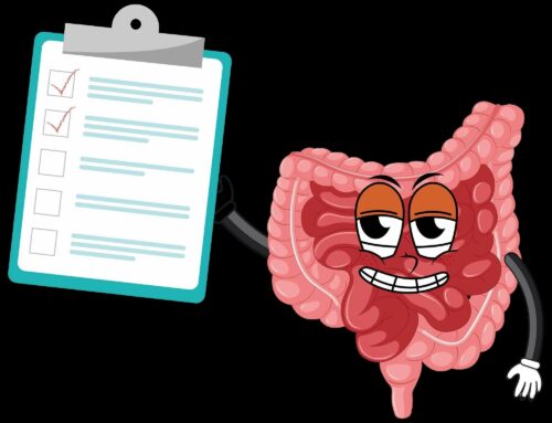 Wine and the gut – Winemag